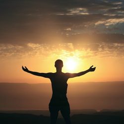 Cognitive & Wellbeing Category